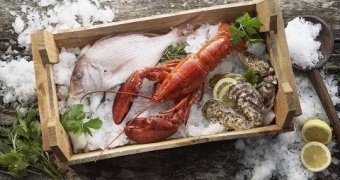 城市大香蕉电影网